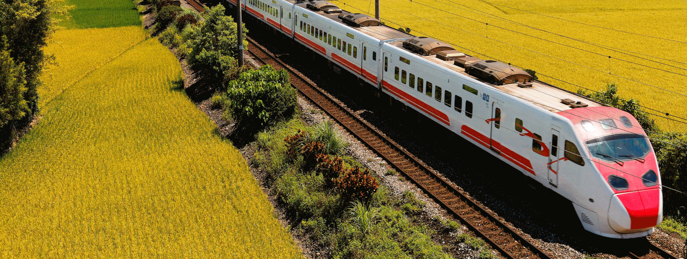 Transportation & Mobility