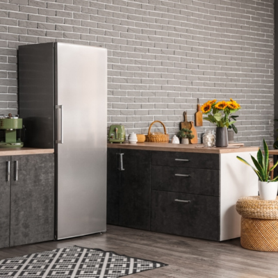 refrigerator-riscaldatori